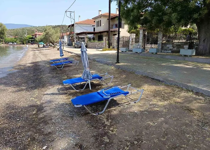 Homico 1 Дом отдыха *